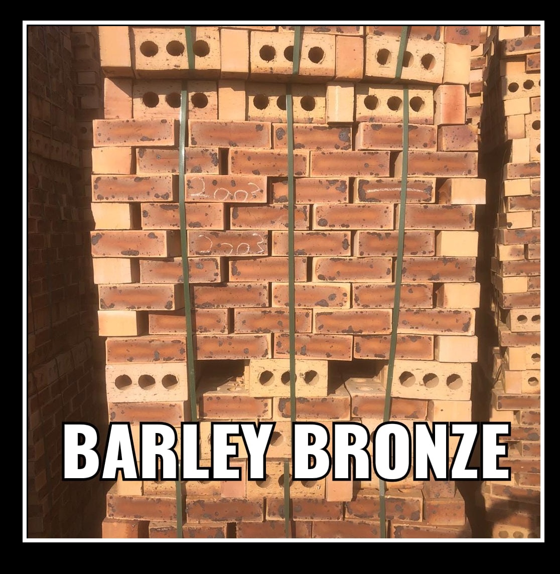 Barley Bronze
