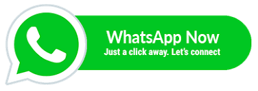 Whatsapp Icon